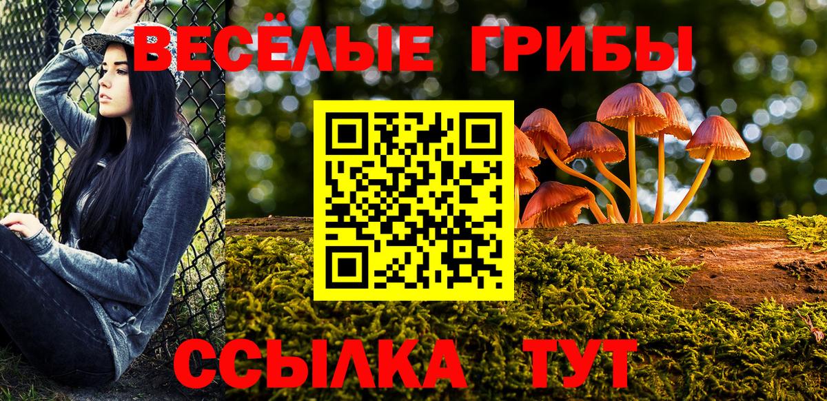 наркотики  Галлюциногенные грибы прущие грибы  Вход с VPN  Кстово 