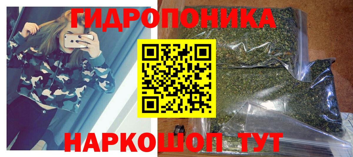 Каннабис OG Kush Кстово